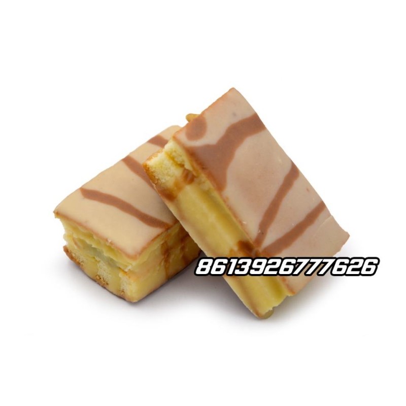 Factory Wholesale Chocolate Coated Milk Flavor Soft Chinese Sponge Cake Snack