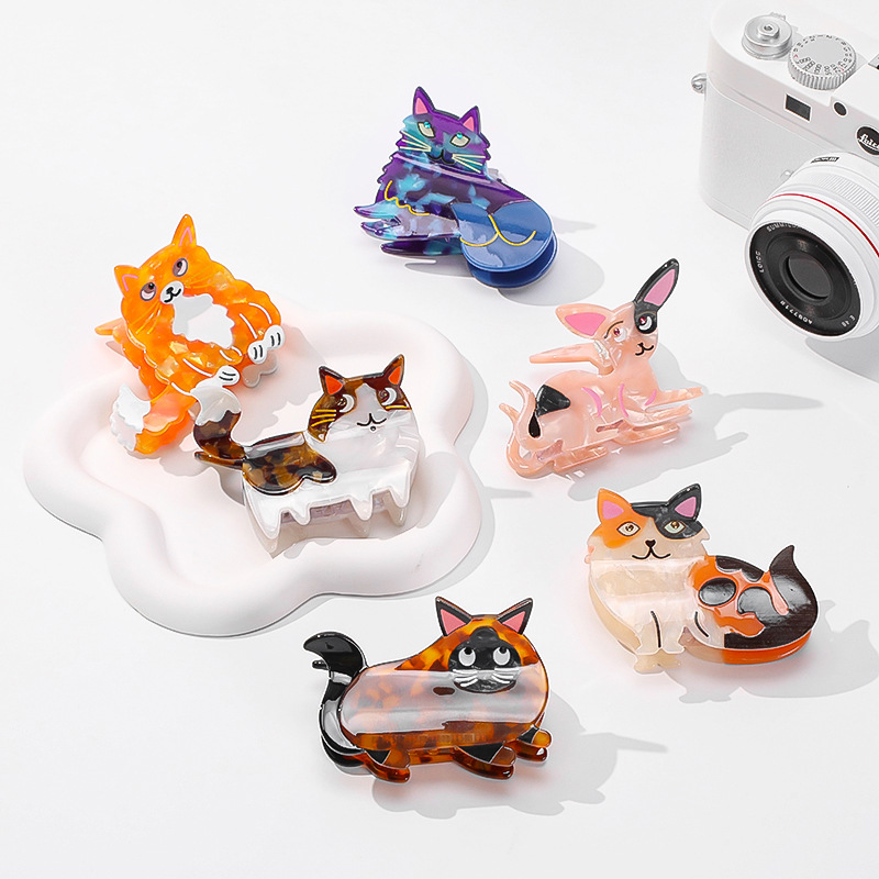 Cat Hair Clip - Maine Kitten Animal