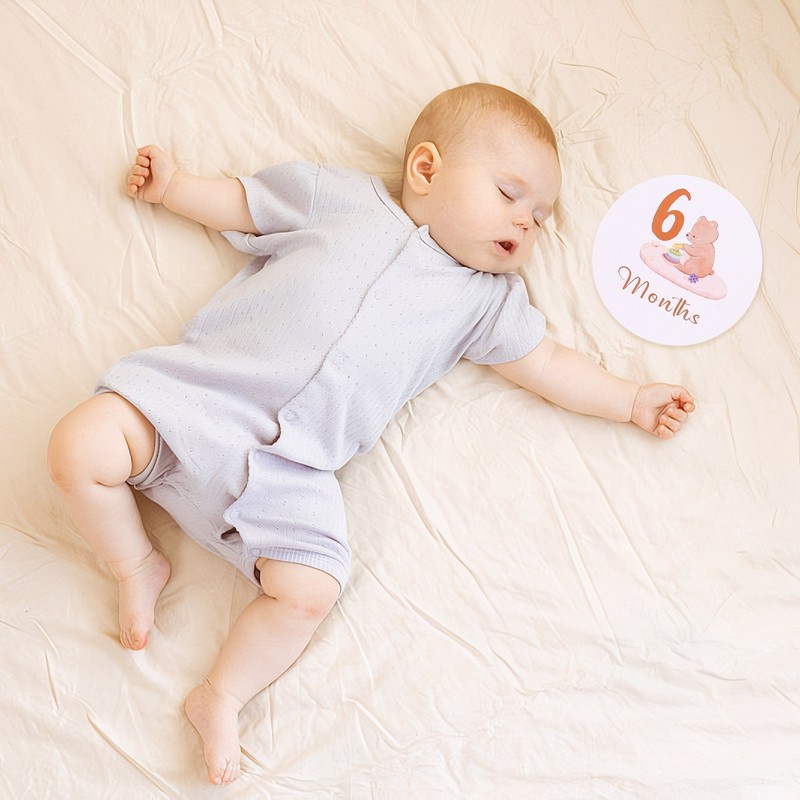 Montessori Cognitive Cards Manufacturer - Best-Selling Bear Double-Sided Mileage Film Learning Toy