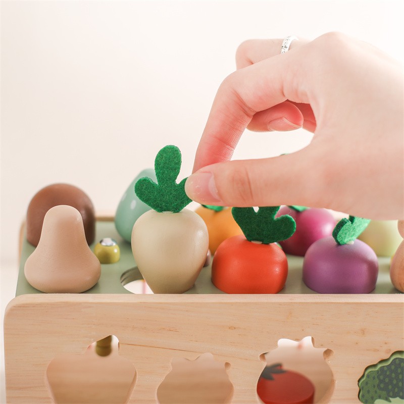 Wooden Vegetable Cognition Toy Manufacturer - Montessori Colorful Beech Wood Building Blocks Featuring Bus Car