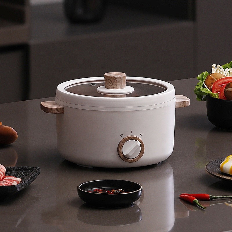 Electric Hot Pot - 2 in 1 Indoor