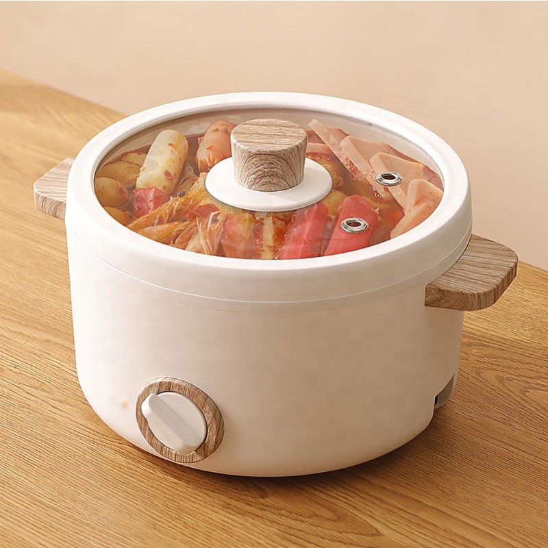 Electric Hot Pot - 2 in 1 Indoor