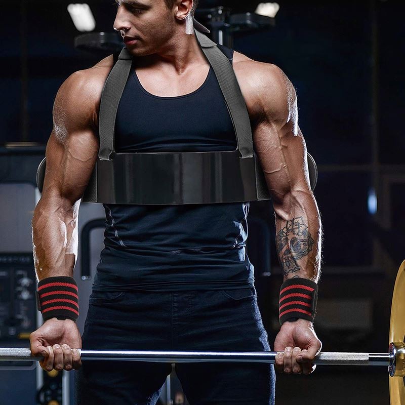 Bicep Blaster Manufacturer - High Quality for Bodybuilding Muscle Strength Arm Blaster for Biceps Triceps