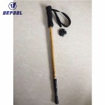 Trekking Pole & Cane