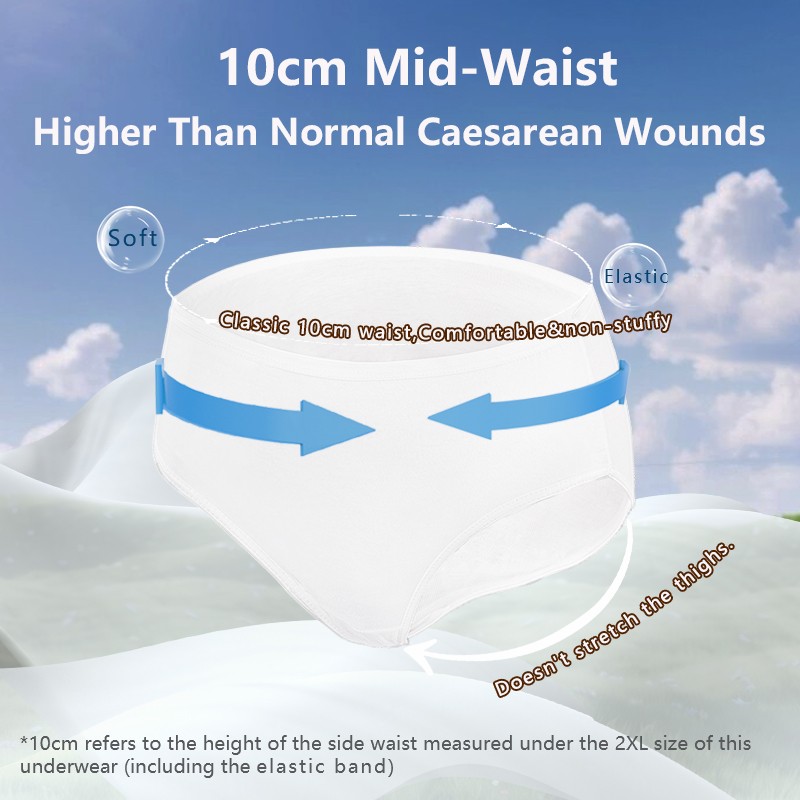 Disposable Period Underwear Supplier - OEM Heavy Flow Postpartum