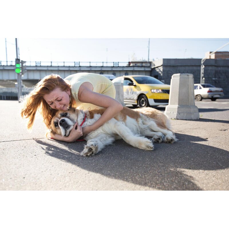 Pet First Aid Kit - 74 Piece Compact