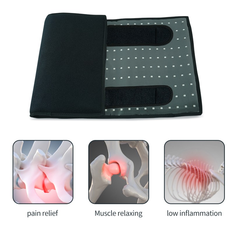 2023 Animal Horse Pet Use Pulsed LED Therapy Pad 660nm 850nm Red Infrared Belt Affordable Led Therapy Light