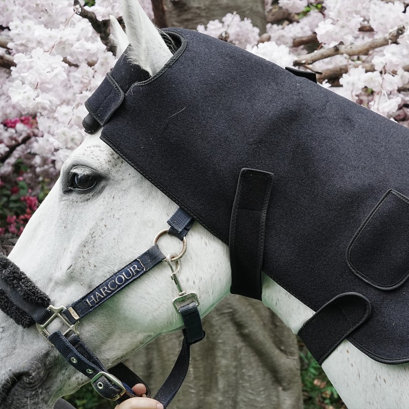 2023 New Handheld Equine Red Light Therapy Horse Legs Relieve Fatigue  Red Light Infrared Light Therapy Horse Device