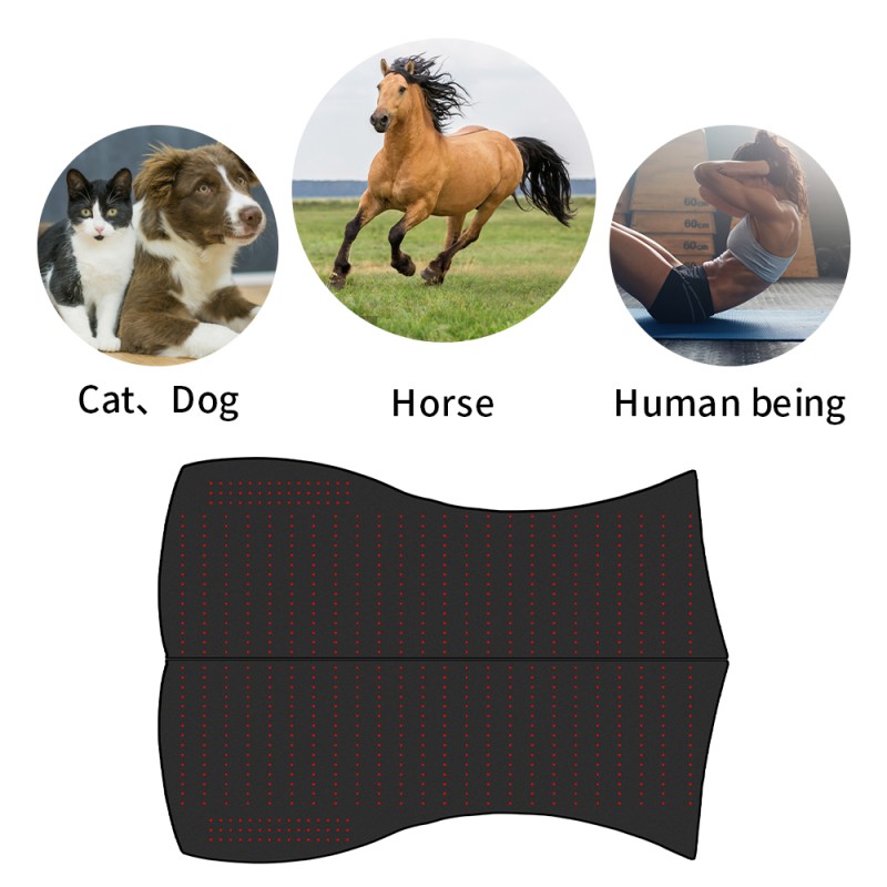 2023 Red Light Horse Back Therapy Blanket Head, Legs,Hoof Therapy Pad Infrared Therapy for Horse Full Body Therapy Blanket