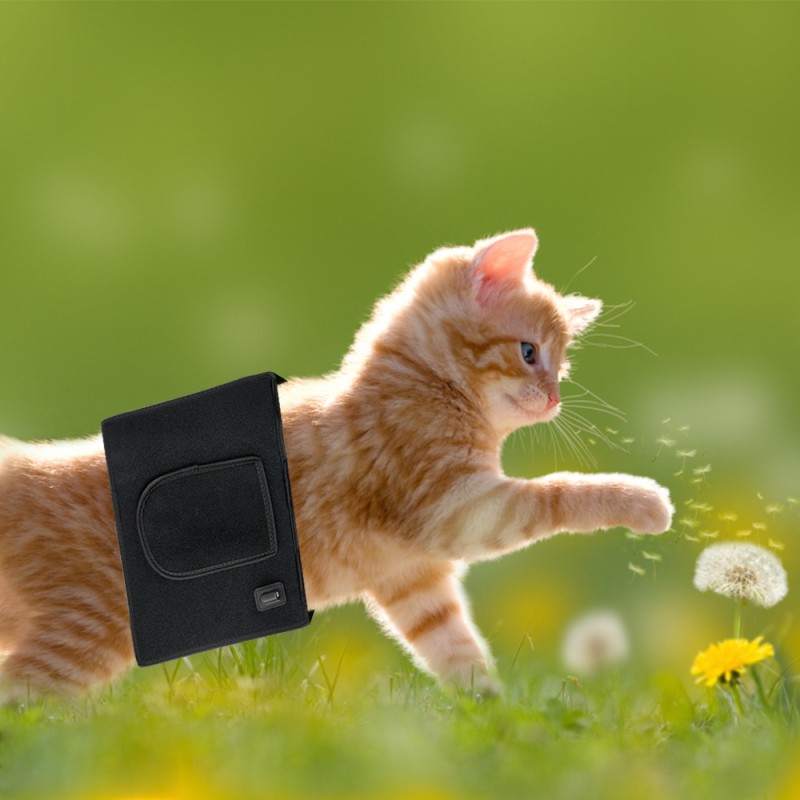 2022 New 660nm Red Light 850nm Infrared Light Animal Leg Horse Light Belt for Pain Relief and Skin Care