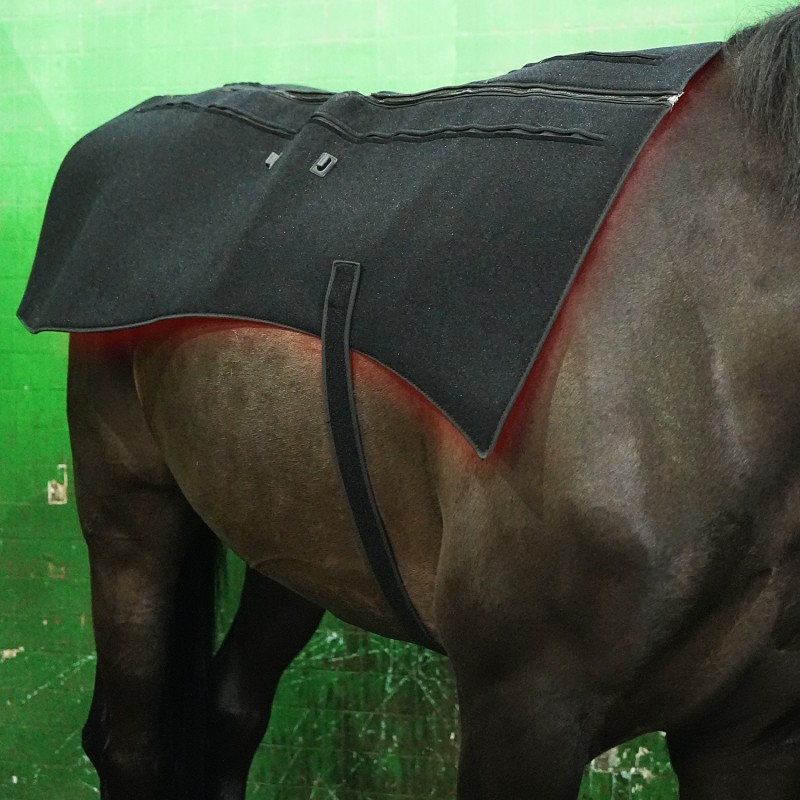 2023 Red Light Horse Back Therapy Blanket Head, Legs,Hoof Therapy Pad Infrared Therapy for Horse Full Body Therapy Blanket