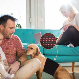 2023 Animal Horse Pet Use Pulsed LED Therapy Pad 660nm 850nm Red Infrared Belt Affordable Led Therapy Light