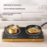 induction cooker