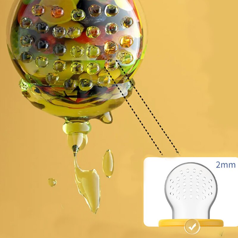 Fruit Feeder - Infant Teething Toy