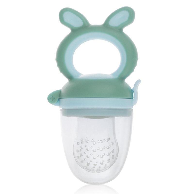 Fruit Feeder - Infant Teething Toy