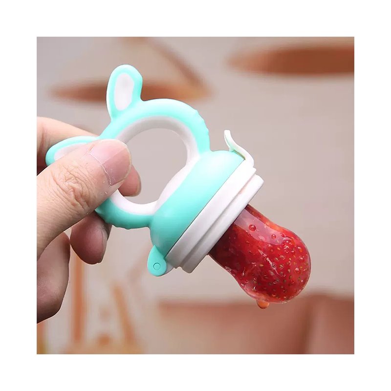 Fruit Feeder - Infant Teething Toy