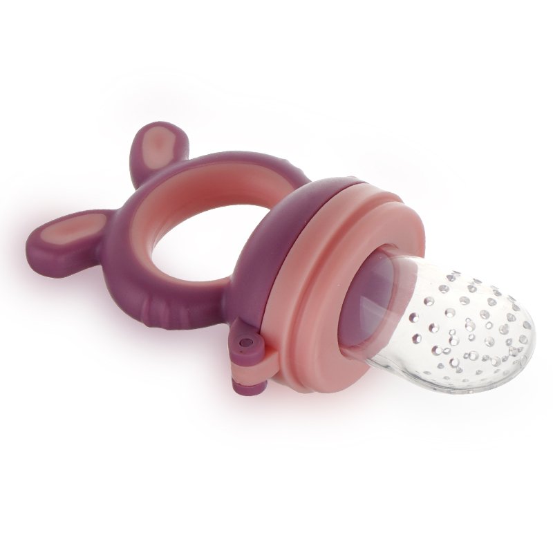 Fruit Feeder - Infant Teething Toy