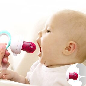 Fruit Feeder - Infant Teething Toy