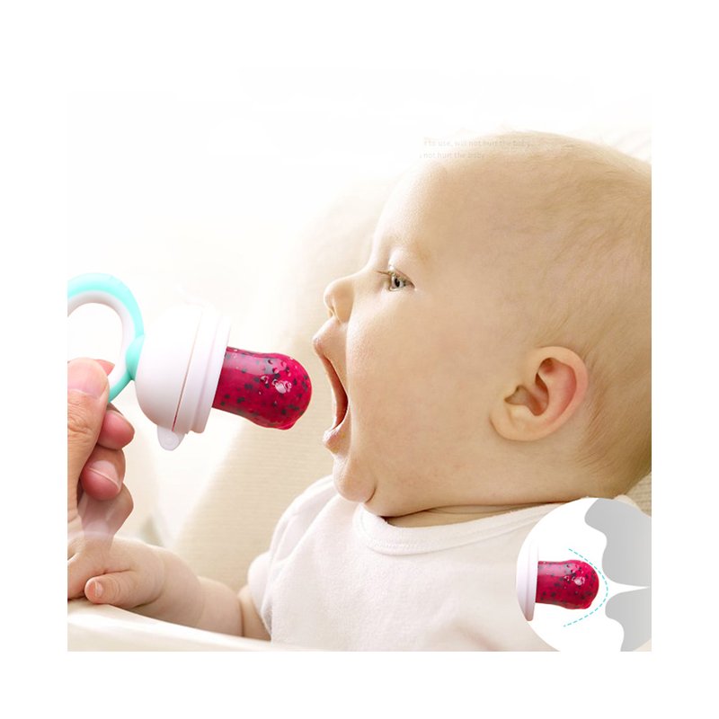 Fruit Feeder - Infant Teething Toy