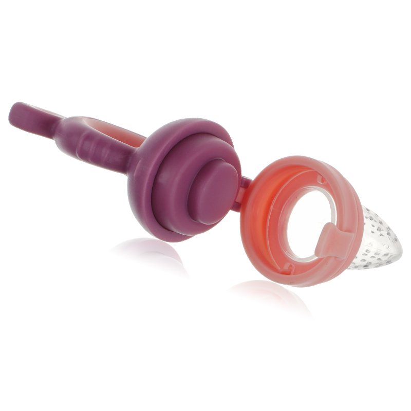 Fruit Feeder - Infant Teething Toy