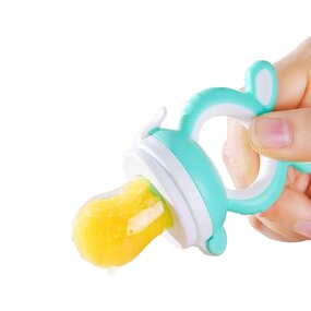 Fruit Feeder - BPA Free Teething Pacifier