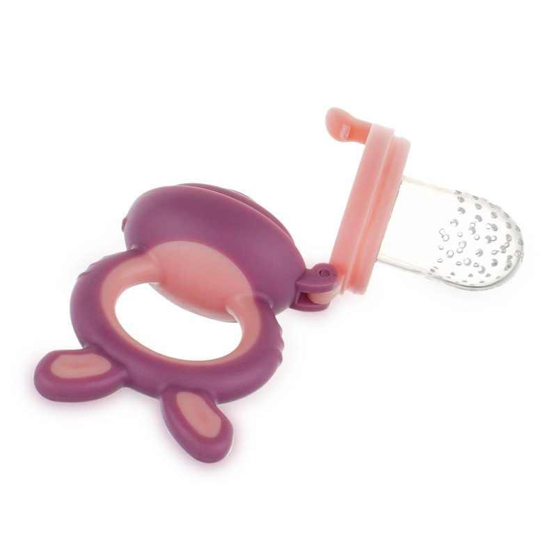 Fruit Feeder - Infant Teething Toy