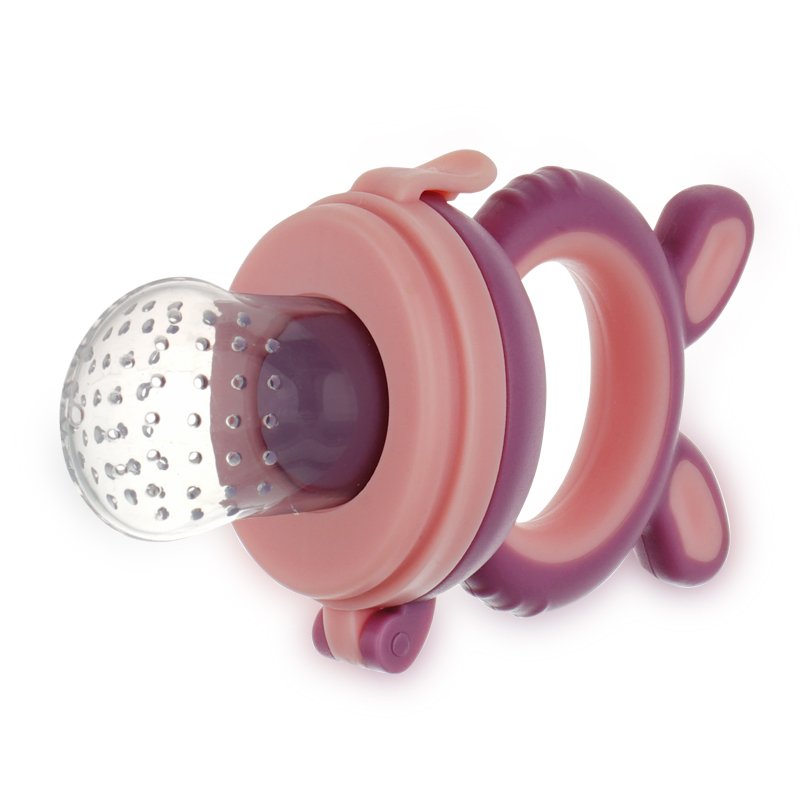 Fruit Feeder - Infant Teething Toy