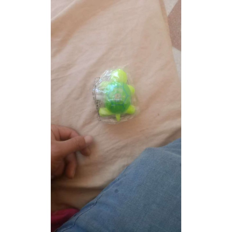 Turtle Toy - Plastic Running Cartoon
