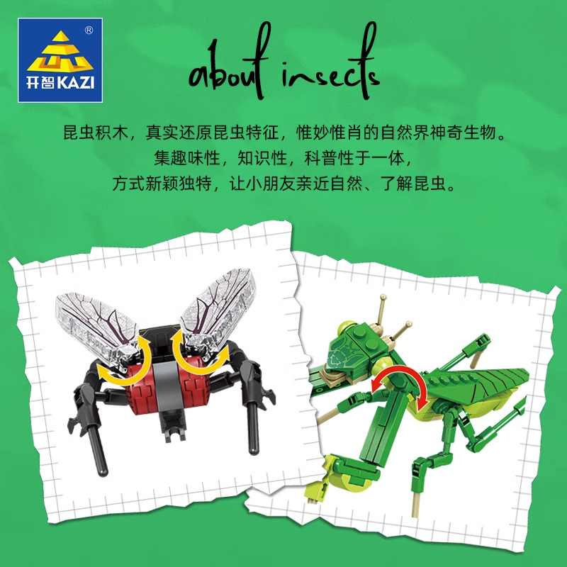 Insect Model - DIY Plastic Puzzle