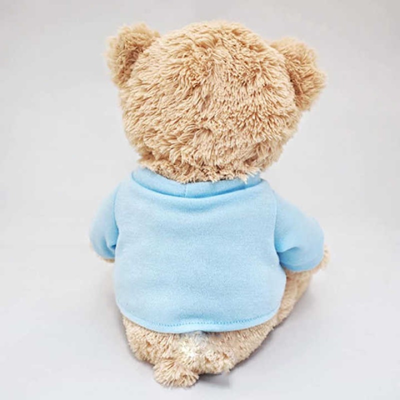Teddy Bear Doll Supplier - OEM Cute Valentine's Day Gift Ragdoll Plush