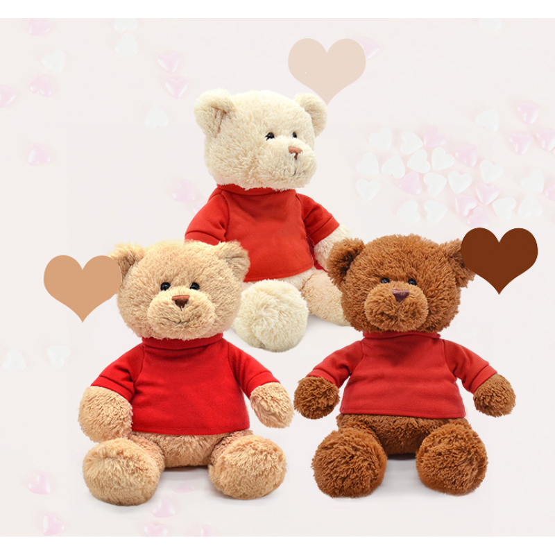 Teddy Bear Doll Supplier - OEM Cute Valentine's Day Gift Ragdoll Plush