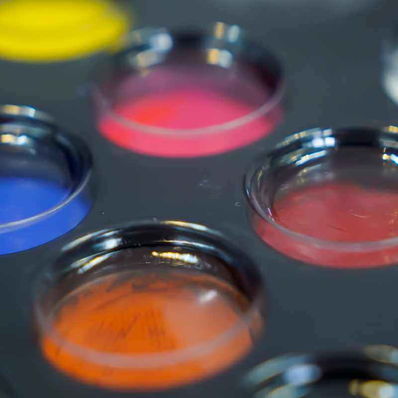 Face Paint Palette - Water Based