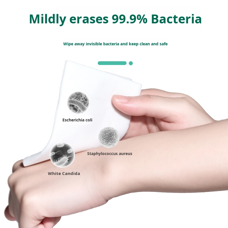 Wet Wipes Manufacturer - OEM Individually Packaged Eco Friendly Essential Oil