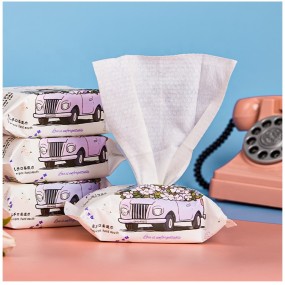 Infants Wet Wipes Supplier - OEM 20 Pcs Soft Skin Care Cleaning for Baby