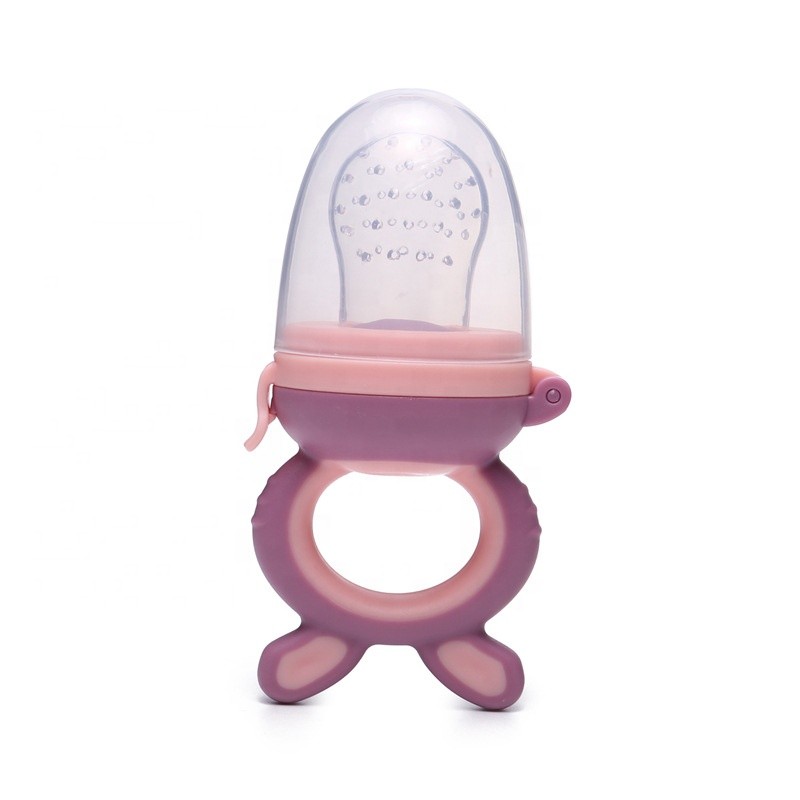 Teething Relief Toy Supplier - OEM BPA Free Frozen Set Baby Fruit Food Feeder Pacifier
