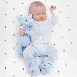 BPA Free Baby Pacifier Manufacturer - OEM Cute Animal Shaped Eco Friendly Cartoon Teether