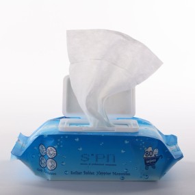 Baby Wet Wipes Supplier - OEM Customized Gentle Touch Eco Friendly