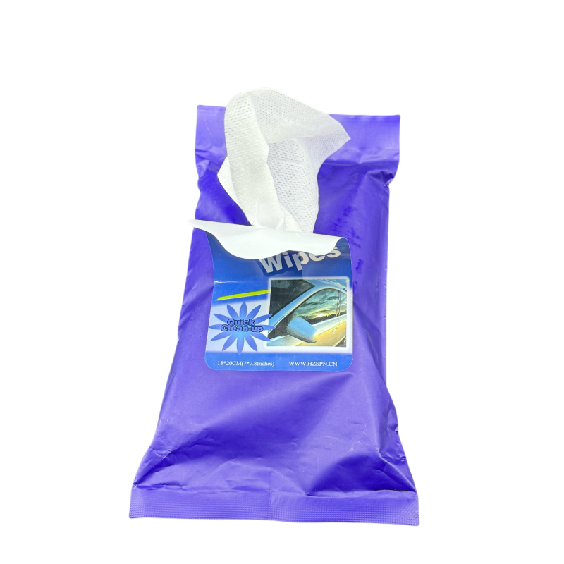 Adult Wet Wipes Supplier - Disposable Eco Friendly Hand Washcloths Travel Pouch