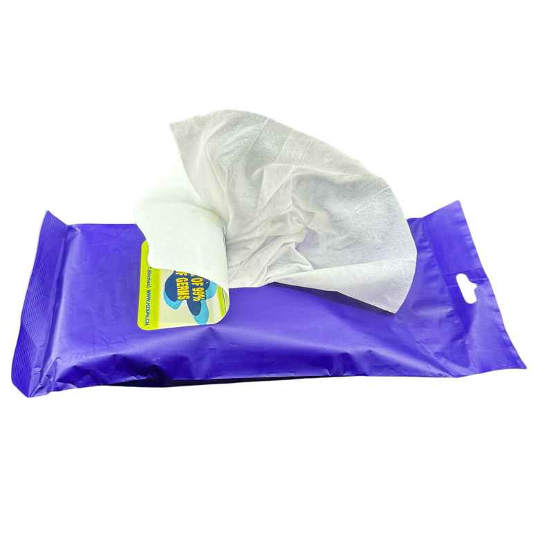 Window Clean Wipes Supplier - 20PCS Eco Friendly Disposable Interior Care