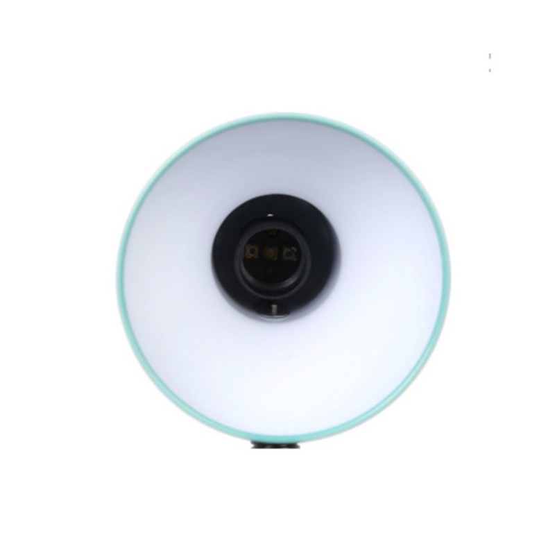 Desk Lamp - Flexible Hose Clip On