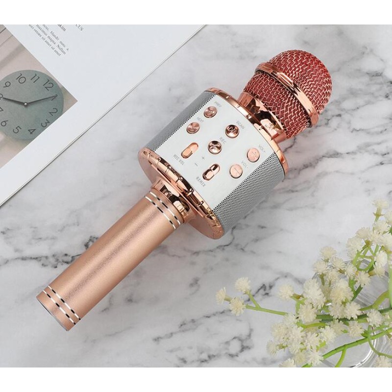 Wireless Microphone - Karaoke LED Light