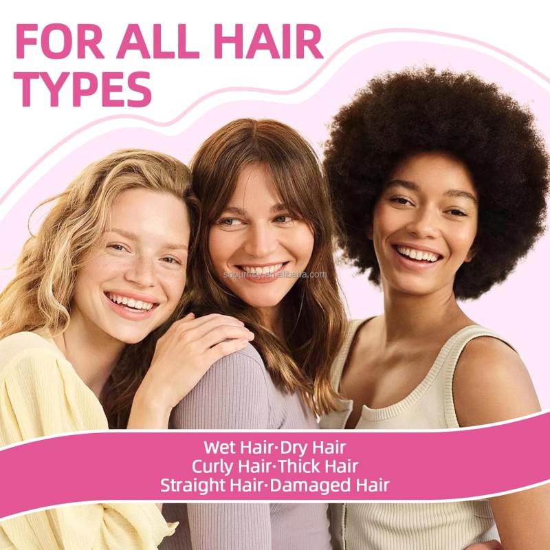 Detangler Hairbrush Factory - 4 Pack Wet Dry Hair Brush for All Hair Types