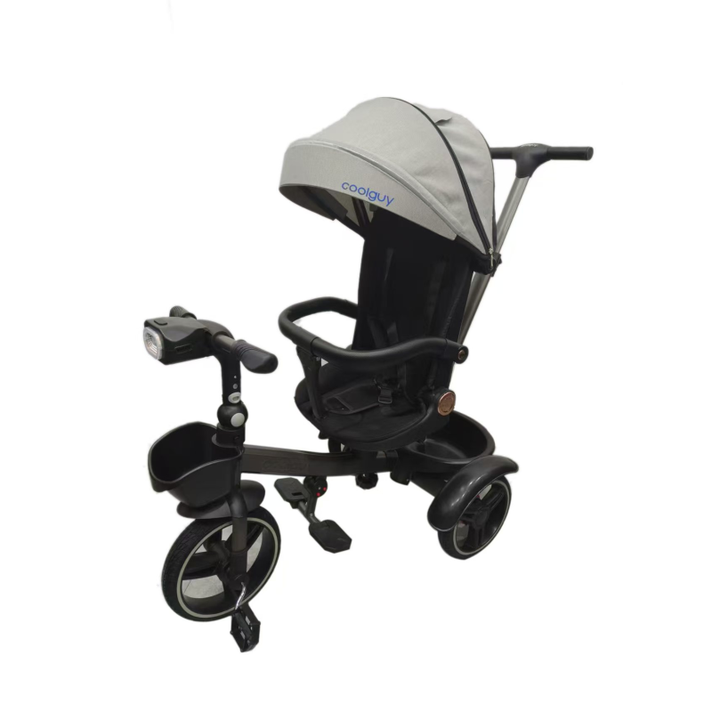 2 in 1 Tricycle - Balance Bike Convertible