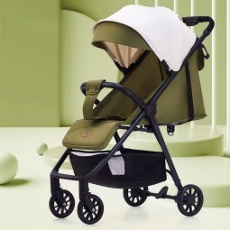 Twin Stroller - Removable Rear Seat