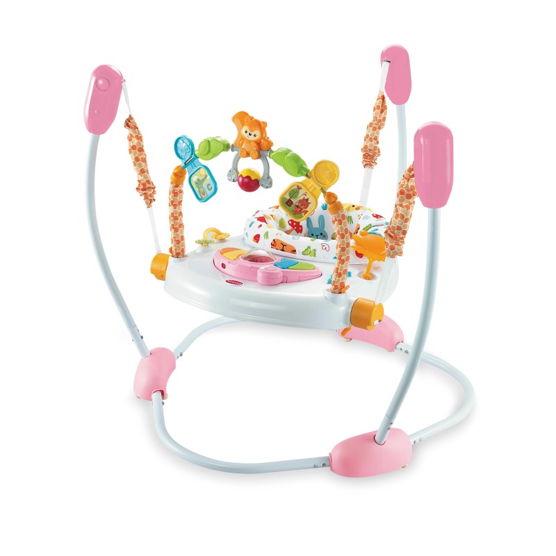 Activity Center - Height Adjustable Indoor