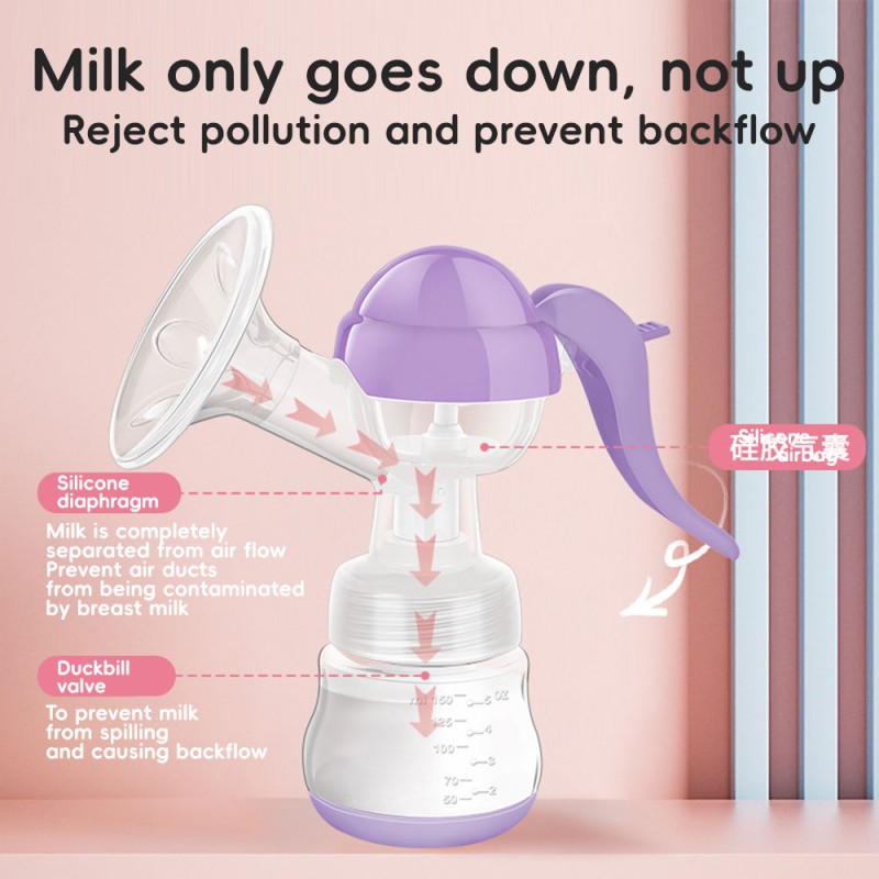 Bottle Warmer Supplier - Digital Warmer with Four Adapters