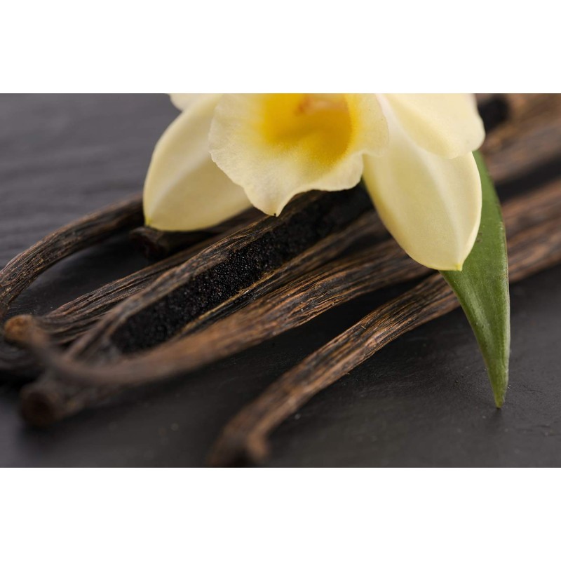 Nappy Cream Manufacturer - Wholesale Private Label Natural Organic Diaper Rash Cream