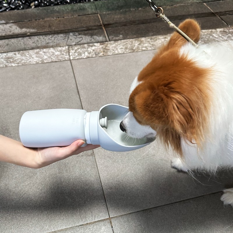 Collapsible Dog Water Bottle Manufacturer - Portable Drinking Bowl