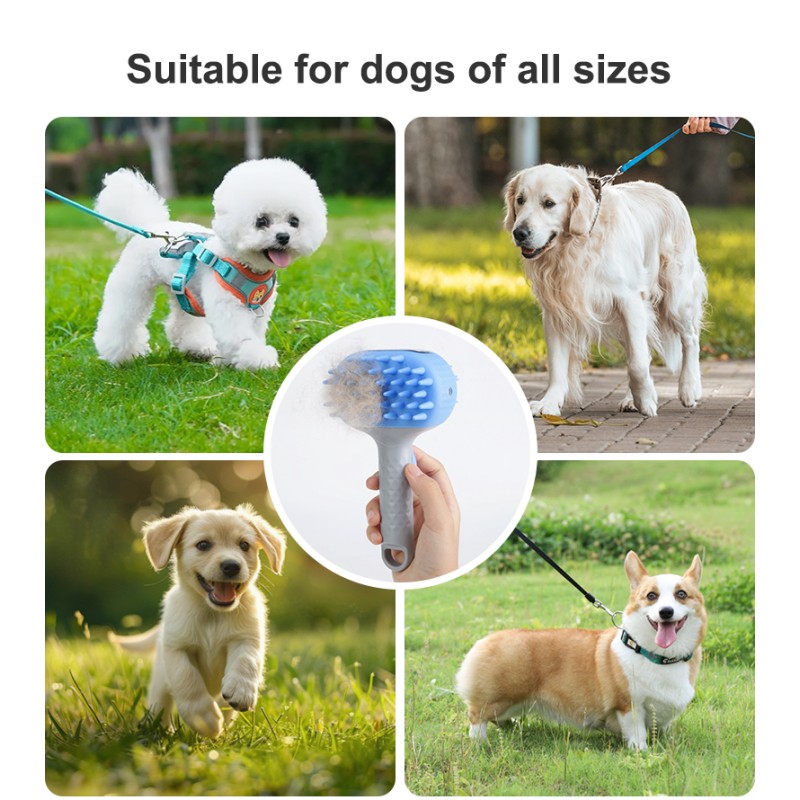 Pet Cleaning Brush Manufacturer - Refillable Lotion Massage Brush