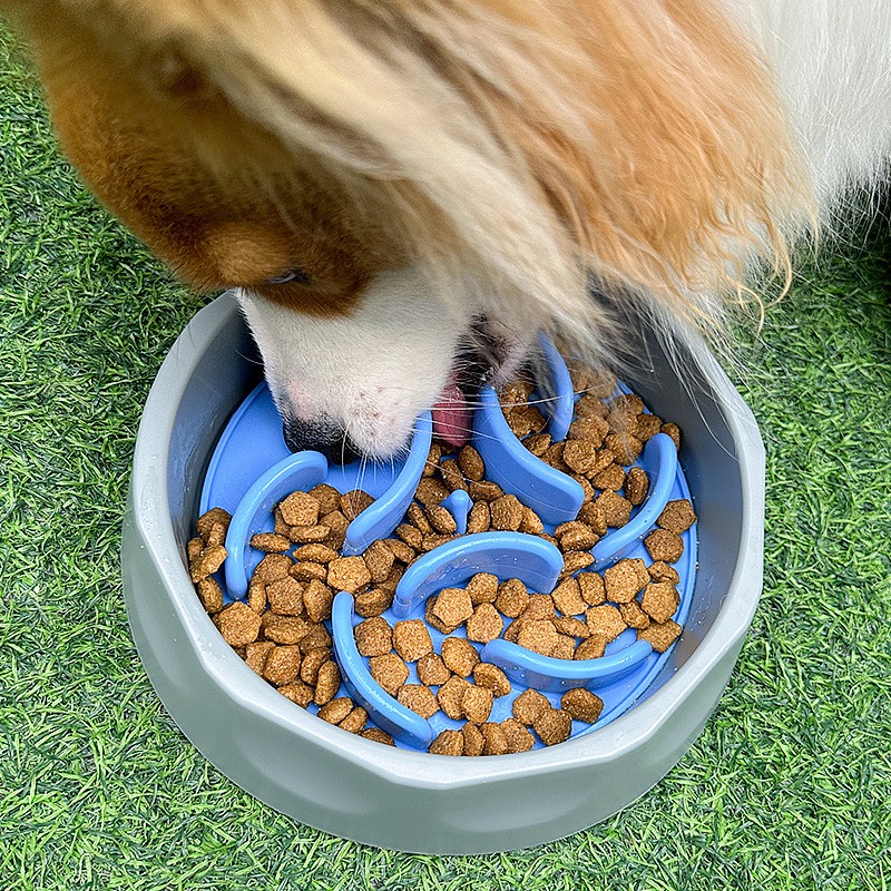 2 in 1 Pet Food Bowl Manufacturer - Portable Silicone Slow Feeder